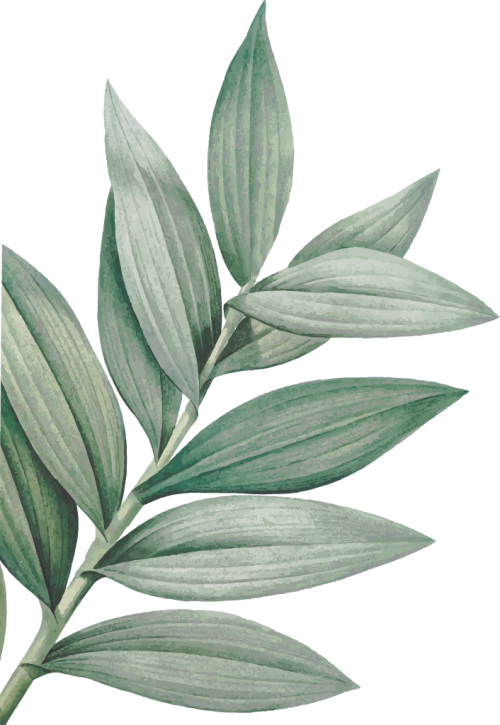 Natural leaf