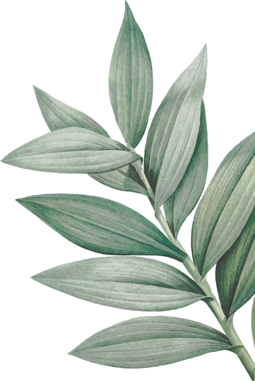Natural Leaf 2
