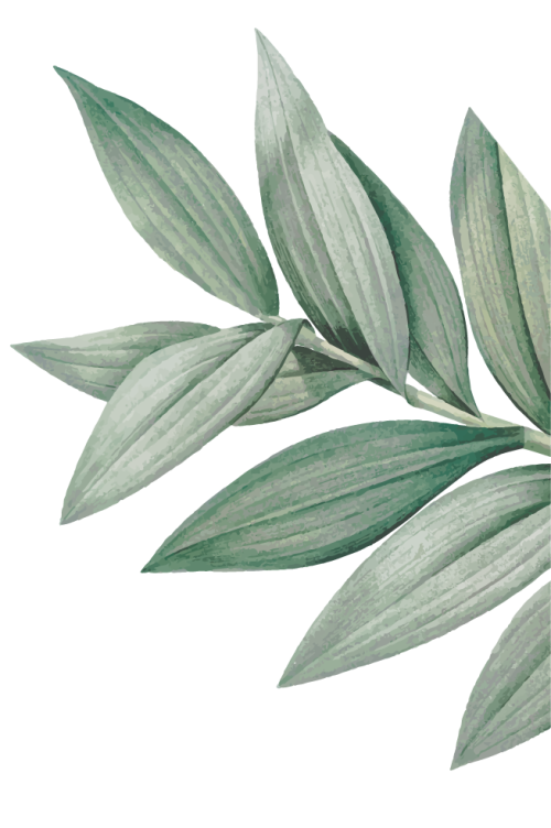 Natural leaf 3