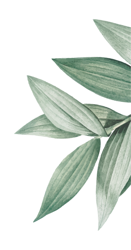 Natural leaf 4
