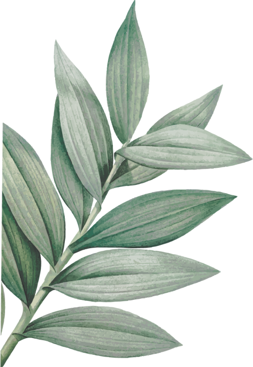 Natural leaf 5